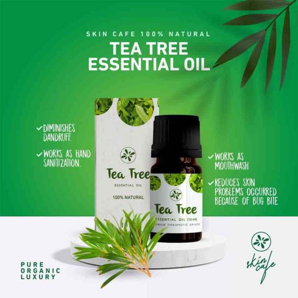 Skin Cafe 100% Natural Tea Tree Essential Oil ModernBeautyBD